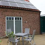 Strandflieder By Interhome