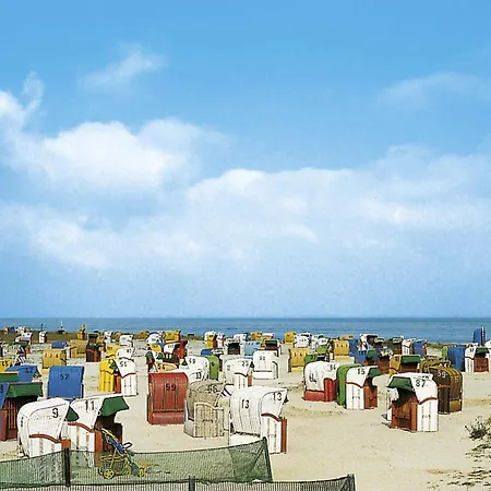 Strandflieder By Interhome *