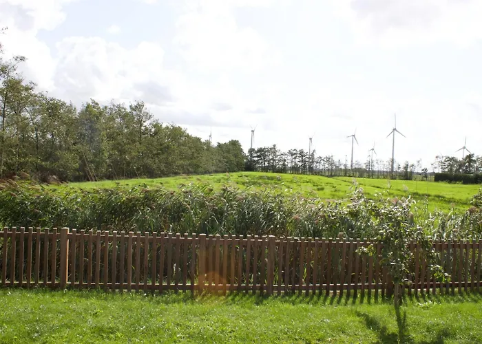 Strandflieder By Interhome 度假居 *