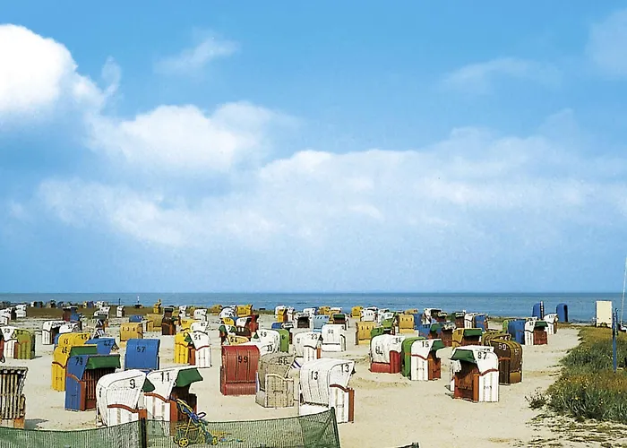 Strandflieder By Interhome *